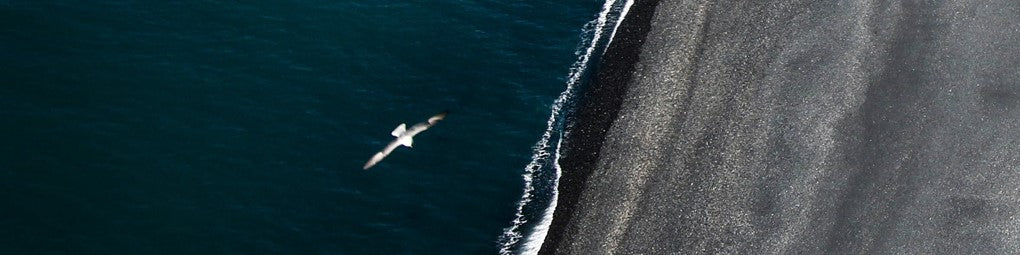 Maillots de bain | Homme