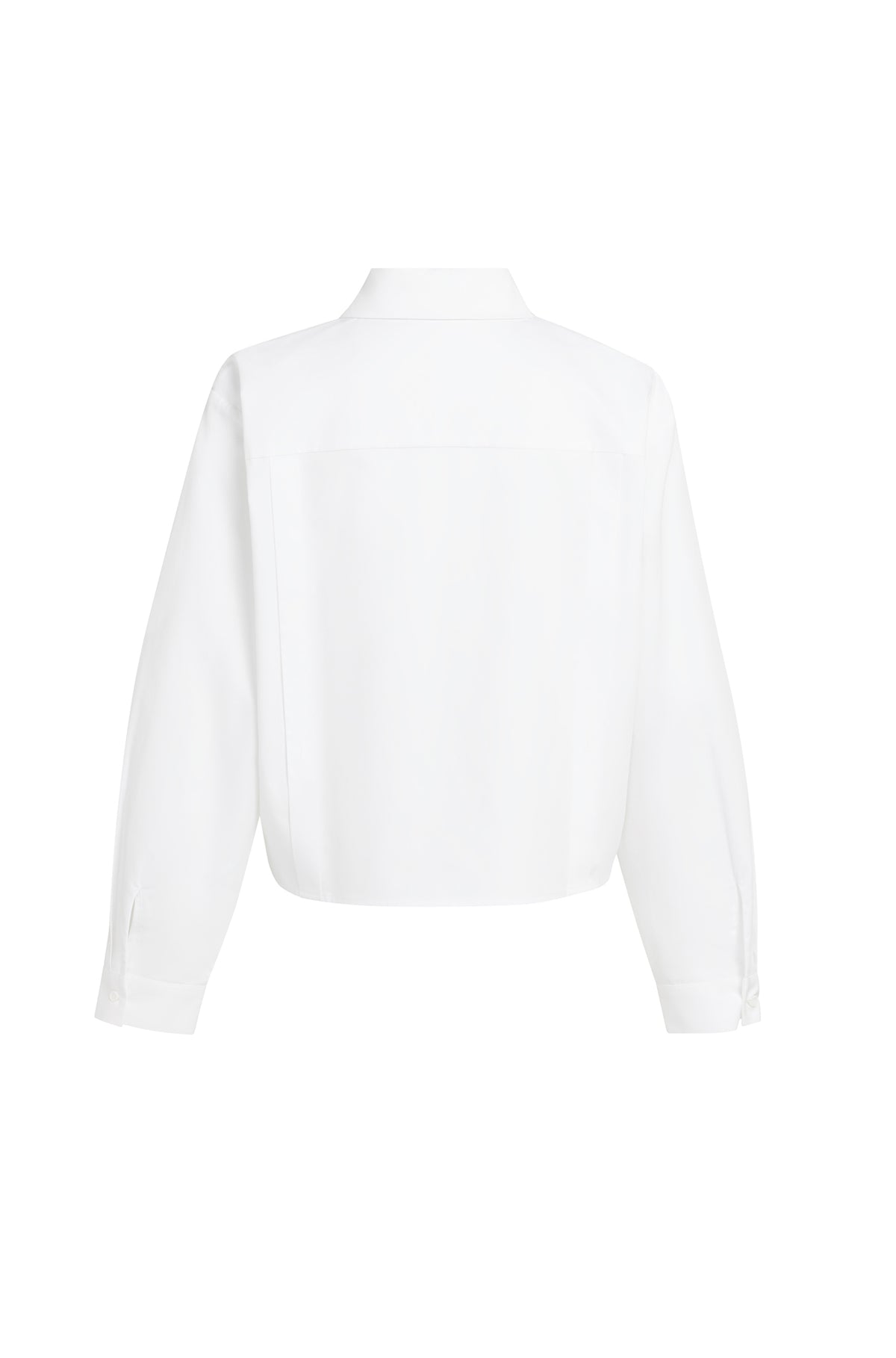 Blouse blanche à manches longues, vue de dos avec empiècement, col et poignets boutonnés pour femme par YAYA
