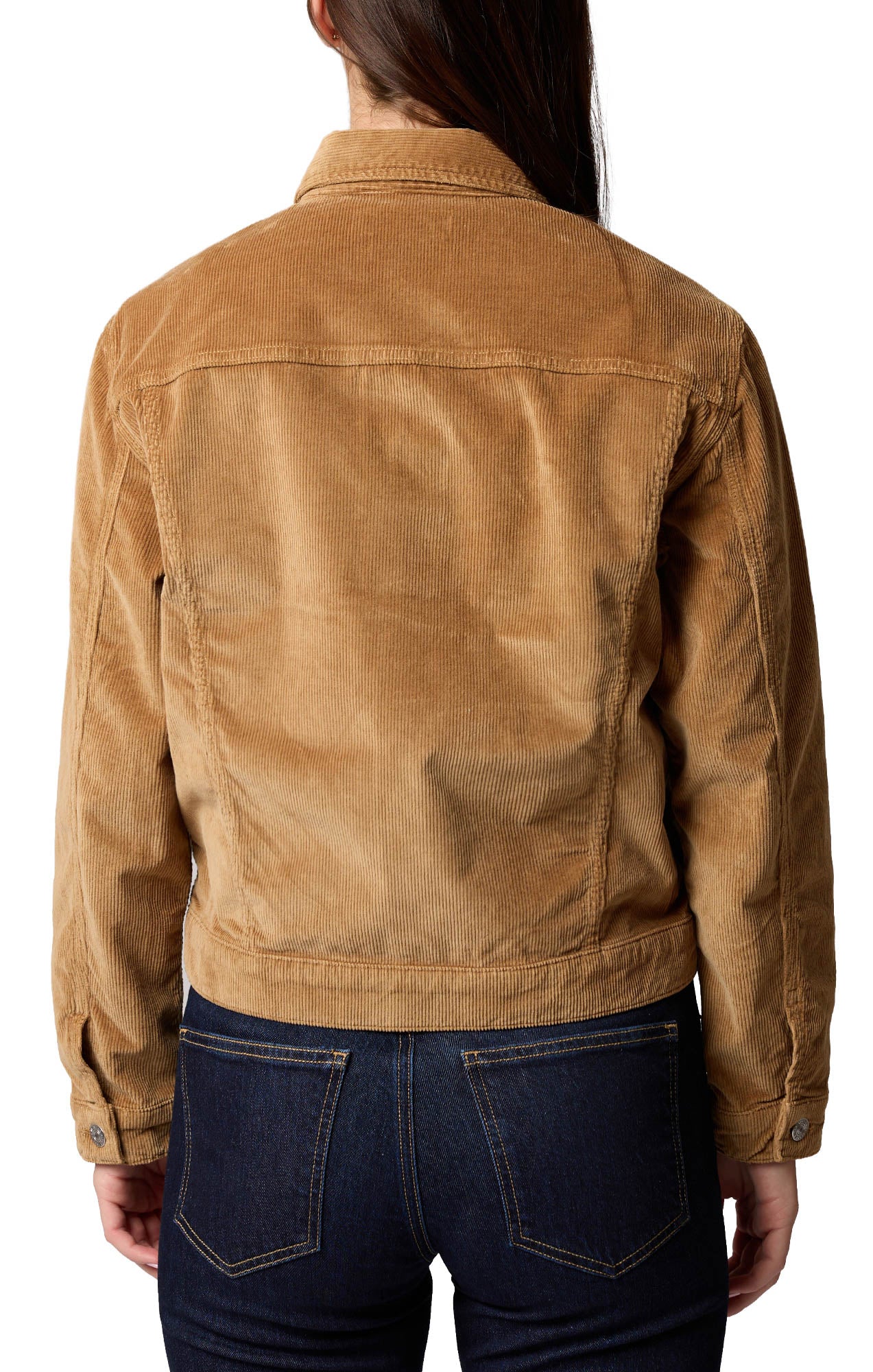 Mavi Jeans women's tan corduroy trucker jacket with point collar, panel seams, and button cuffs, back view