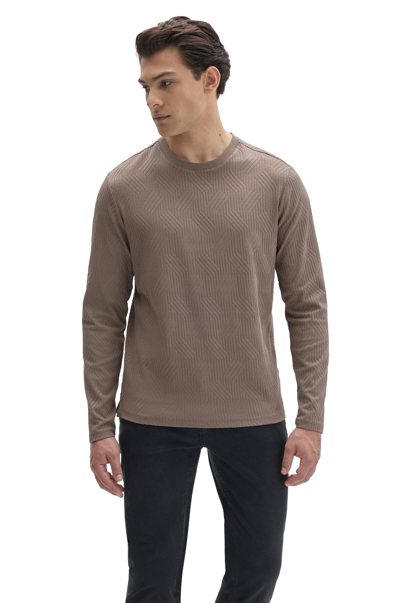 Robert Barakett men's taupe long sleeve crewneck T-Shirt with raised geometric texture and straight hem, front view