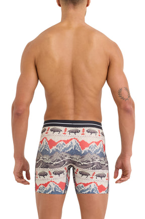 Vue arrière sur mannequin du sous-vêtement multicolore à motif montagnes, bisons et arbres pour homme par Saxx