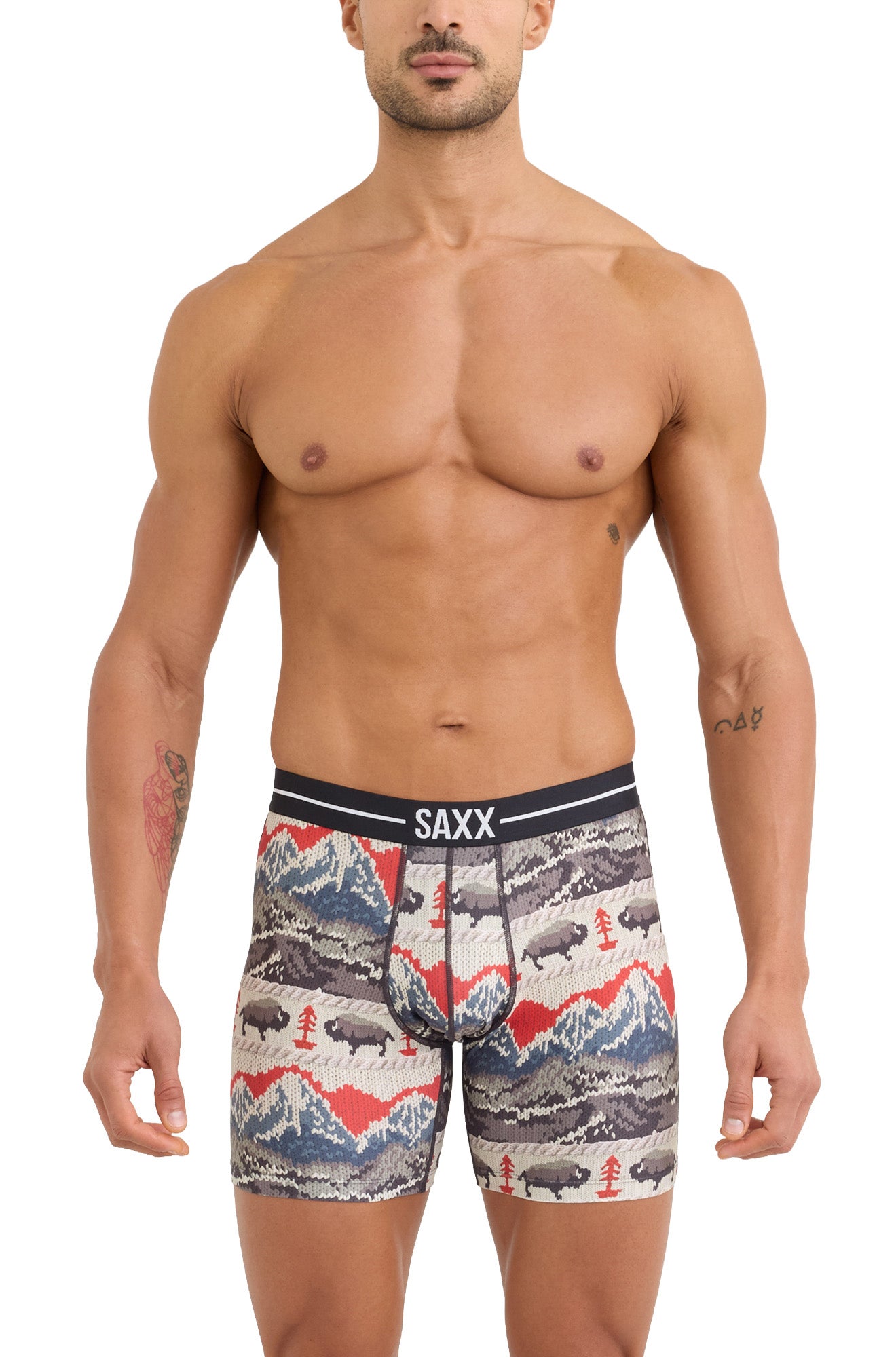Sous-vêtement multicolore à motif montagnes et bisons pour homme par Saxx, vue de face sur mannequin