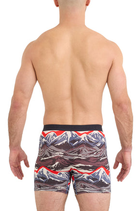 Sous-vêtement imprimé montagnes avec ceinture noire et jambes mi-cuisse pour homme par Saxx, vue de dos sur mannequin