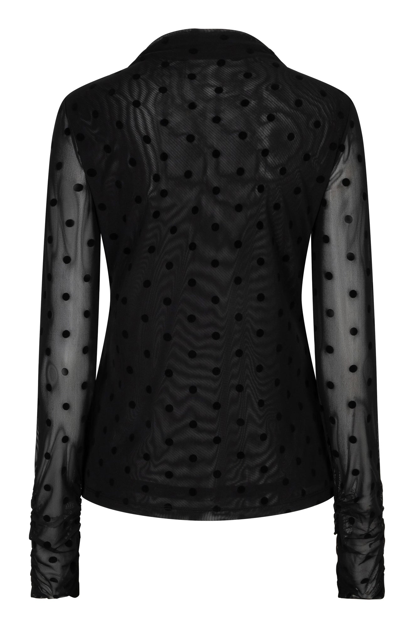 Esqualo women's black floral long-sleeve blouse with bow neck, sheer buttoned cuffs, front view